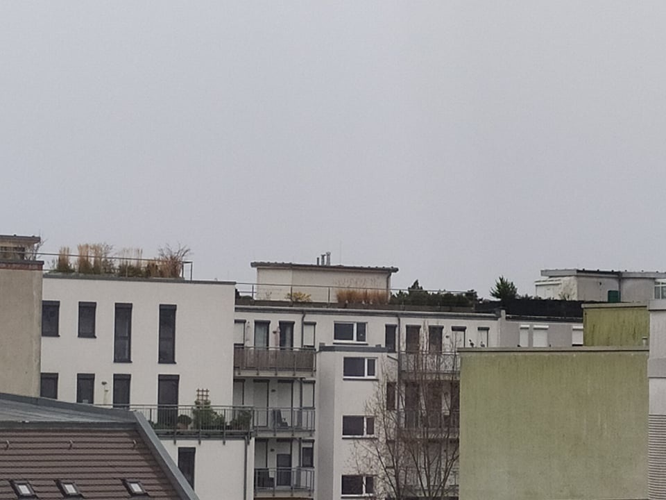 Дерева на даху в Берліні