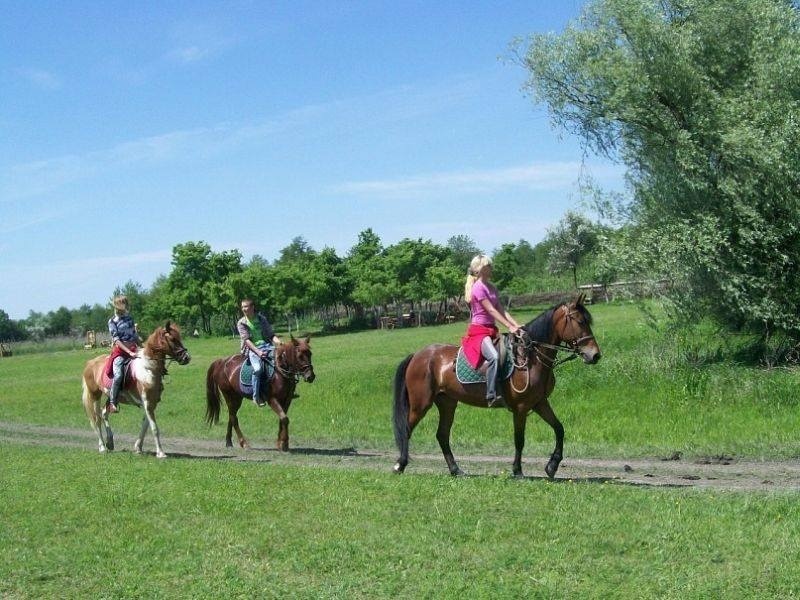 Зелені хутори Таврії