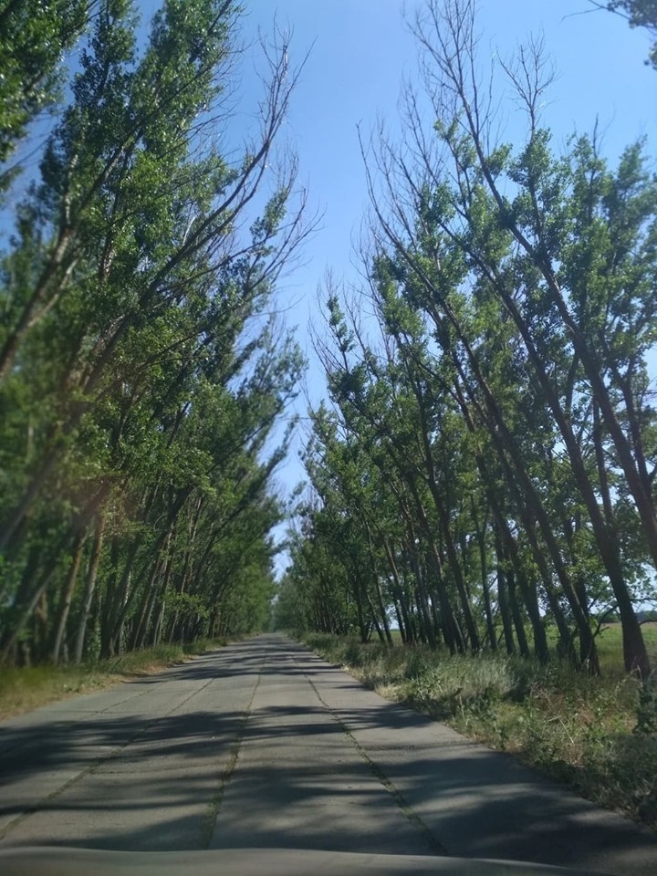 «Бетонка» до Лазурного