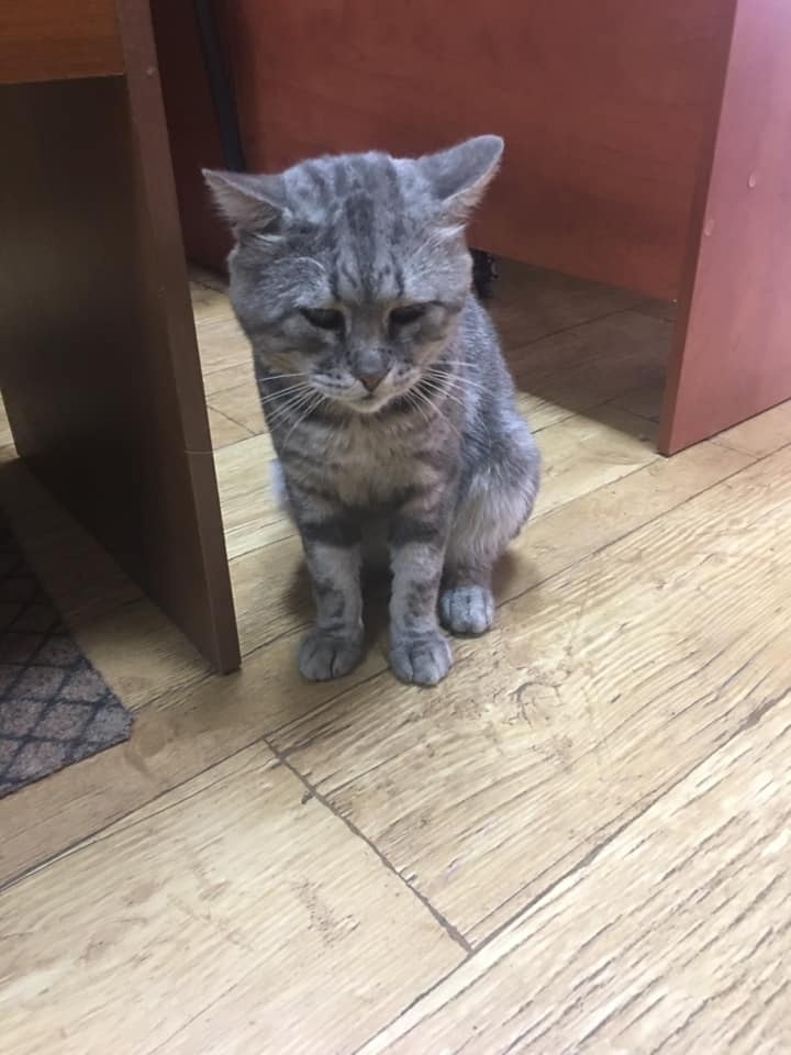 Василь
