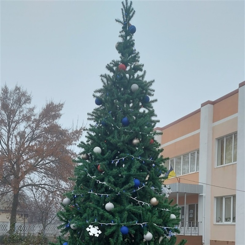 Ялинка у Любимівській ОТГ
