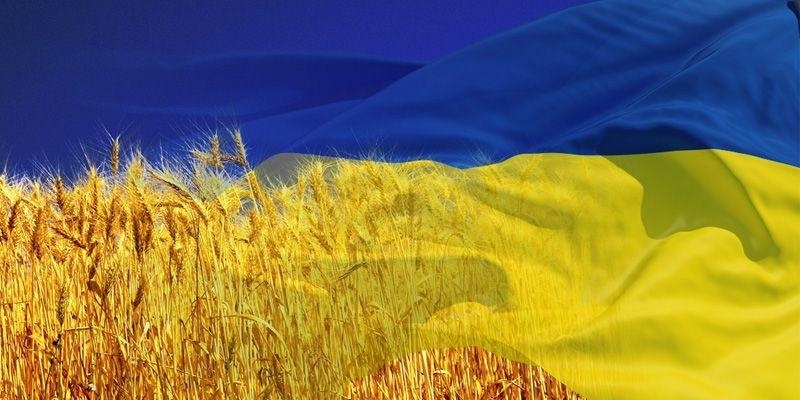 гдз укр мова 5 клас заболотний 2022