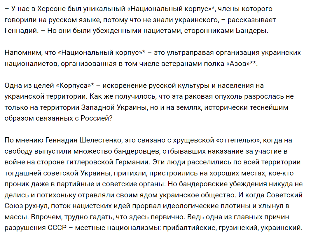 Скріншот фрагменту інтерв'ю Шелестенко