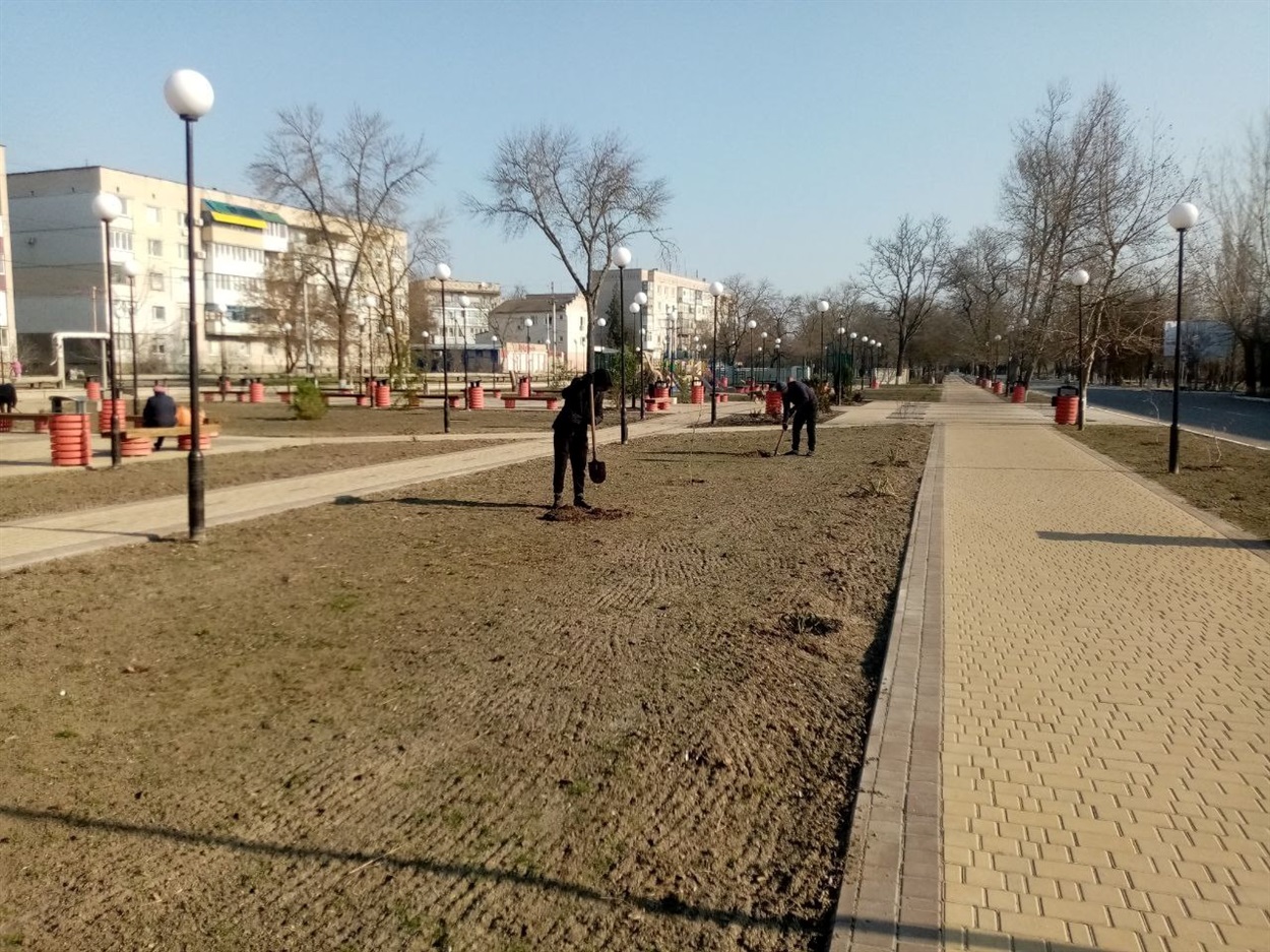 Окупанти висаджують дерева у Голій Пристані, весна 2024 року