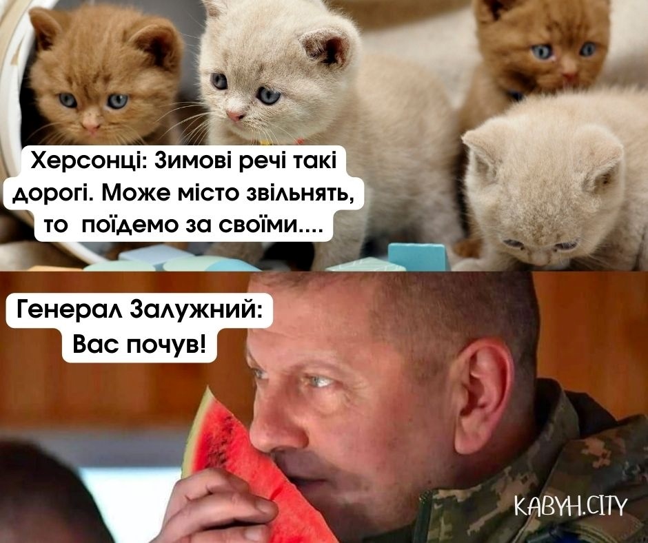 Мем Кавун.City