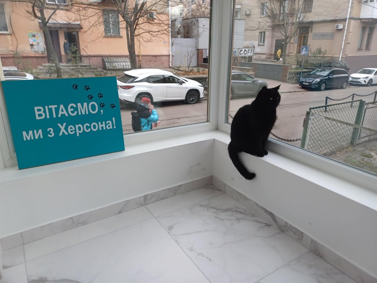 Блек на фоні вивіски