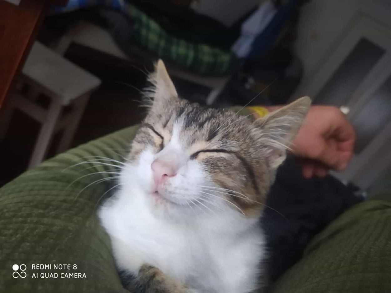 Фугас