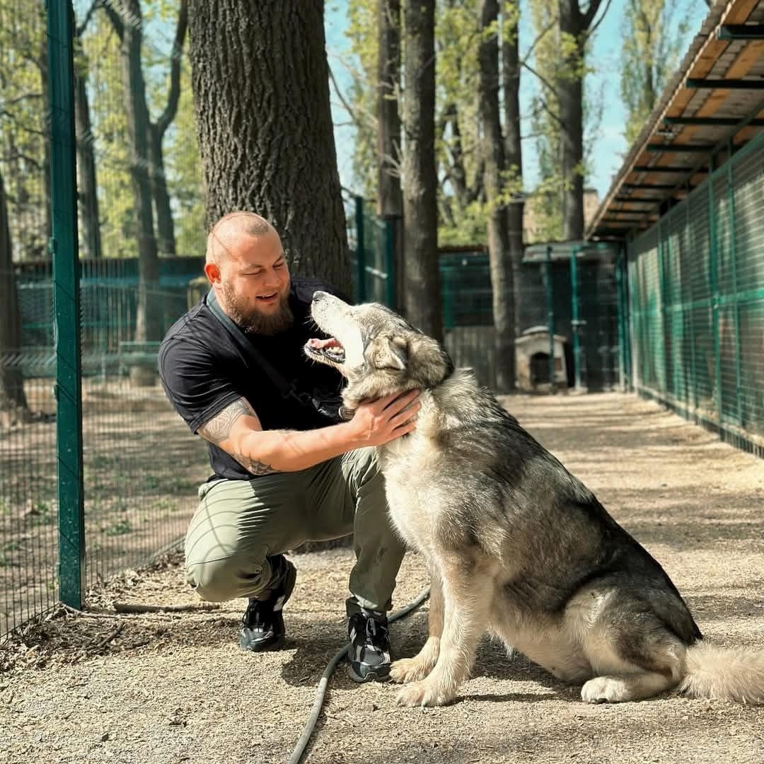 Дем'ян Ганул