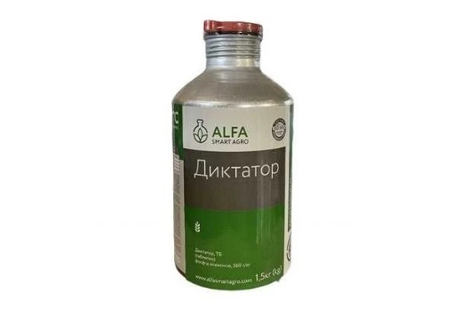 Диктатор