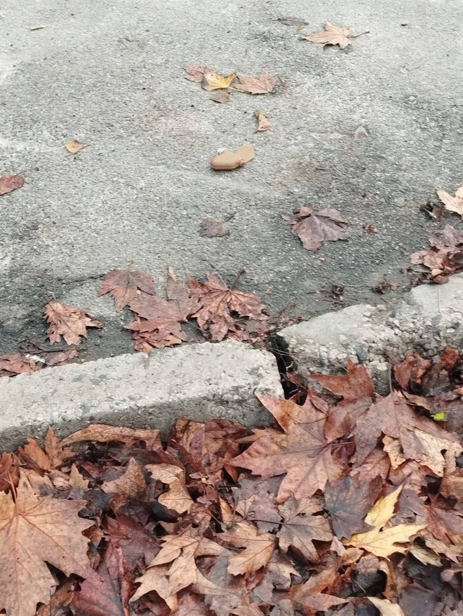 Міни-пелюстки у Херсоні