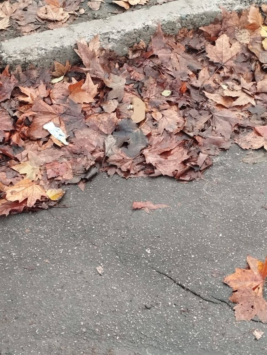 Міни-пелюстки в Херсоні