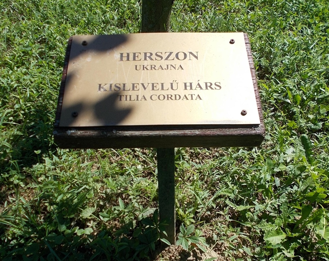 Місце меморіального дерева на честь Херсона у Залаегерсег, 2020 рік, Vizslapark