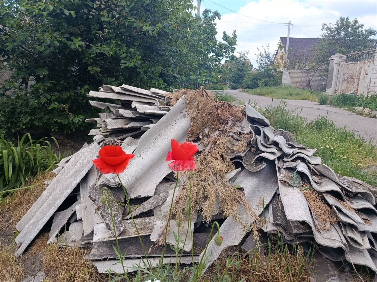 Маки в Херсоні, травень 2026