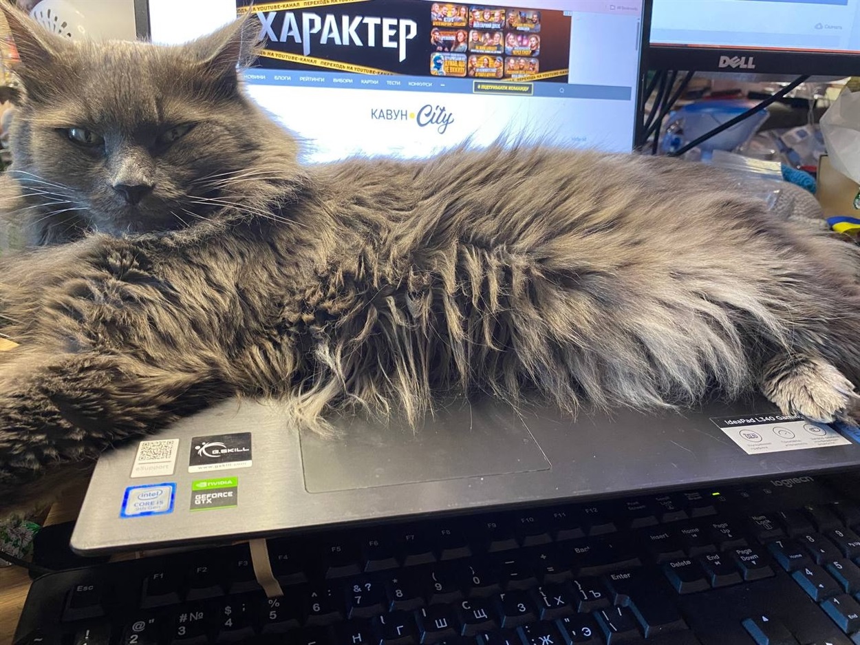 Рішар, заступник головної редакторки