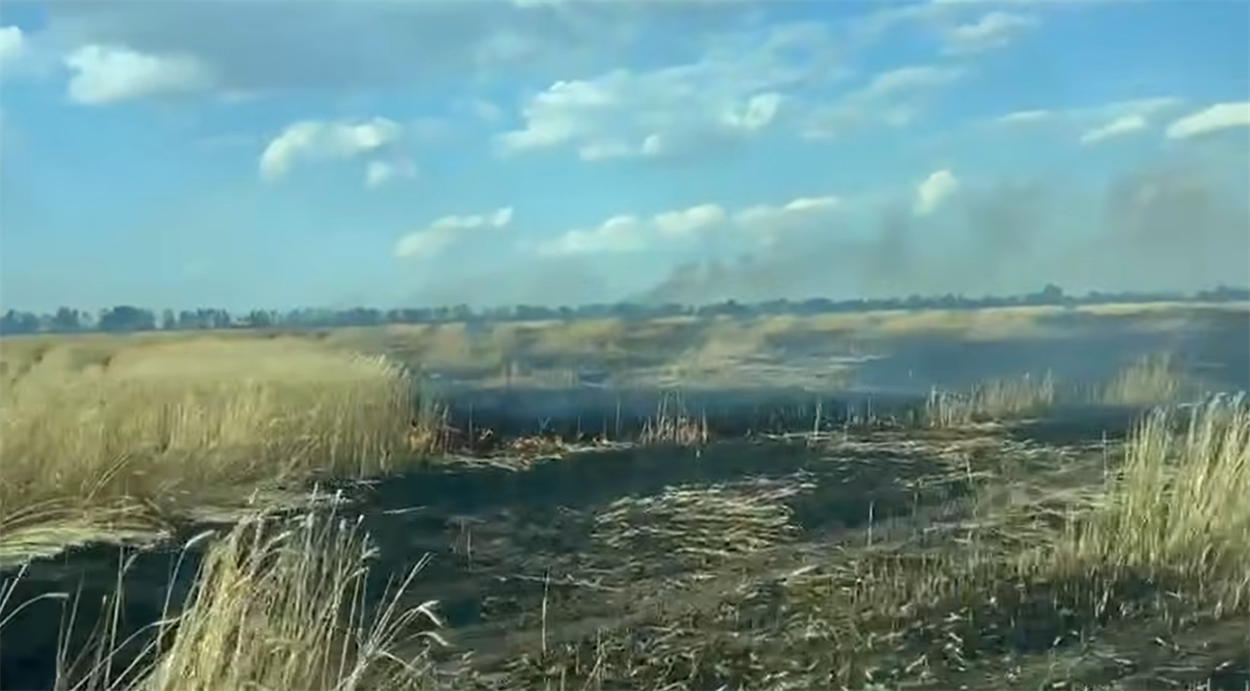 Поле після пожежі на Бериславщині