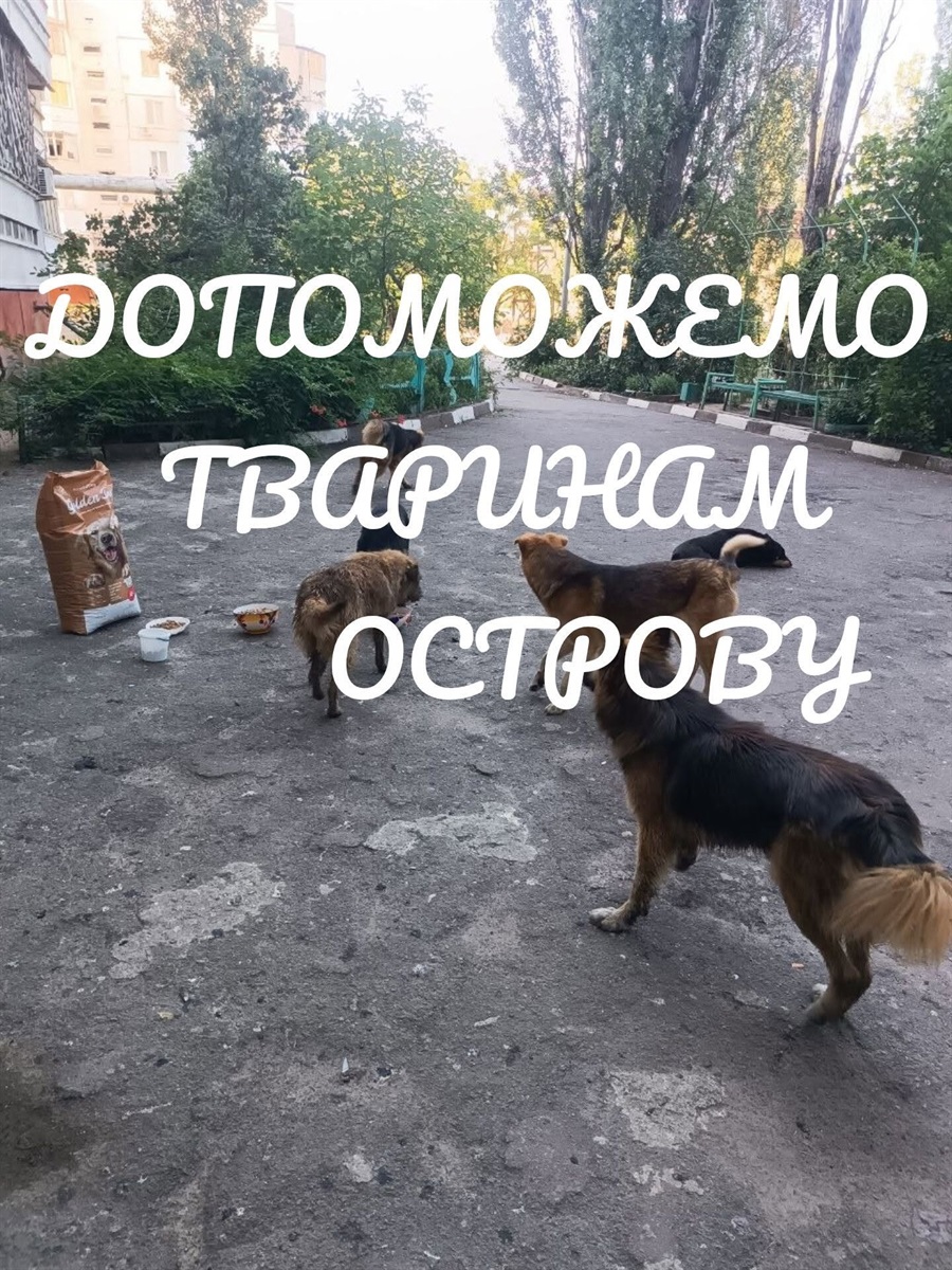 Фото пані Тетяни