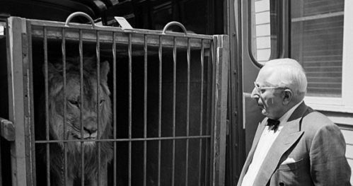 Луїс Маєр та символ кінокомпанії «MGM» лев